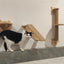Cat Wall Mounted Wooden Shelves Platform and Hammock for Cats Sleeping and Scratching Post for Cats Grinding Claws Pet Furniture