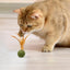 1pcs Catnip Feather Ball Interactive Natural Lollipop for Cat Kitten Toys, Feathers Design Teeth Cleaning Playing Toys