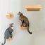 Wall Mounted Cat Shelves Wood Cat Lookout Climbing Shelf Kitten Wall Climbing Tree Furniture Four Step Stair Indoor Cat Hammock