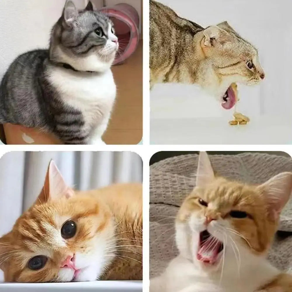 Catnip Ball for Cats Wall Rotatable Cat Licking Balls Edible and Healthy with Spring Ball Cat Licking Balls for Cats Catnip