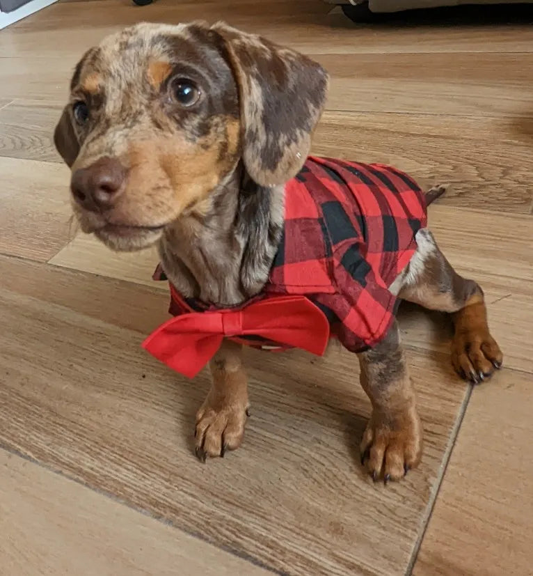 Bowtie Dog Blouse Classical Breathable Plaid T-Shirts Summer Dog Clothes for Small Dogs Puppy Large Cat Vest Chihuahua Yorkies