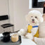 Dog Jumpsuit Summer Puppy Clothes 2024 Cute Pet Rompers Color Block Casual Dog Pants Bichon Pug Chihuahua Suspenders Dog Coat