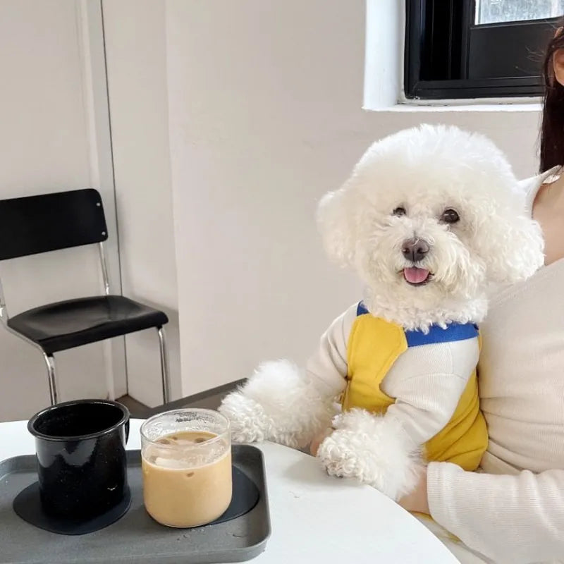 Dog Jumpsuit Summer Puppy Clothes 2024 Cute Pet Rompers Color Block Casual Dog Pants Bichon Pug Chihuahua Suspenders Dog Coat