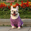 Pet Dog Clothes Knitwear Dog Sweater Soft Thickening Warm Pup Dogs Shirt Winter Puppy Sweater for Dogs Casual Pet Cat Clothing