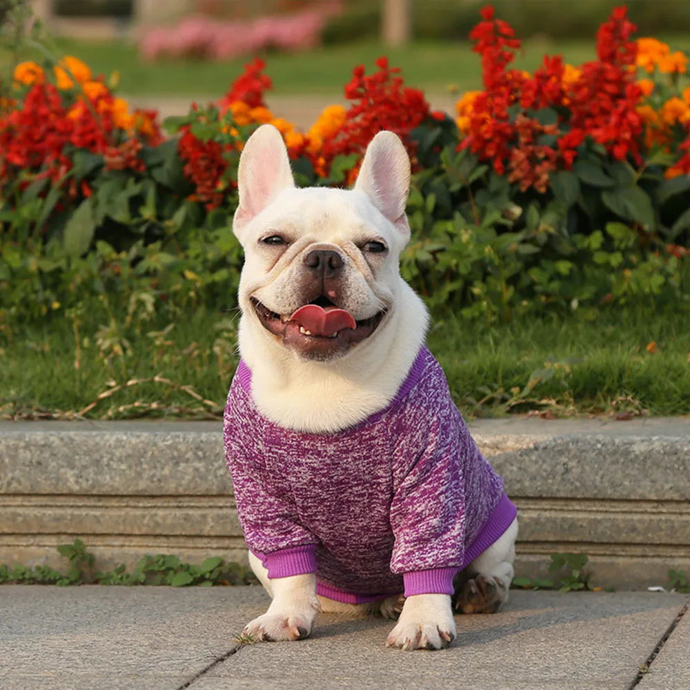 Pet Dog Clothes Knitwear Dog Sweater Soft Thickening Warm Pup Dogs Shirt Winter Puppy Sweater for Dogs Casual Pet Cat Clothing