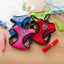 Breathable Mesh Fabric Dog Leash Soft Comfortable Pet Harness Puppy Cat Vest Collar Pet Supplies For Chihuahua Pug Bulldog
