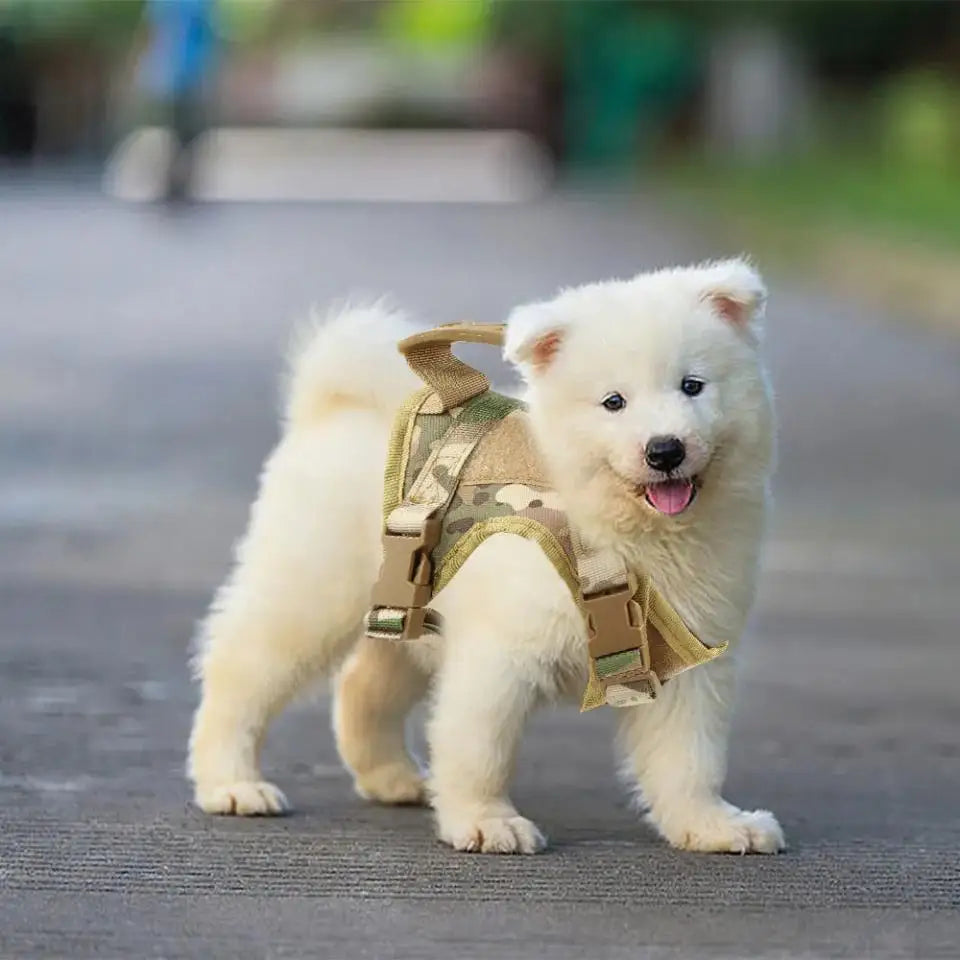 Tactical Cat Harness Leash for Walking Escape Proof Adjustable Kitten K9 Vest with Patch for Military Service Small Dog Training