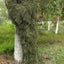 5Pcs Adult Ghillie Suit Hunter Camouflage Clothing gillie suit Hunting Suit Birding Clothes