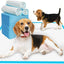 20/40/50/100pcs Dog Disposable Urine Pads, Dog Diapers High Absorbent Pet Cage Pads Puppy Potty Training Pads
