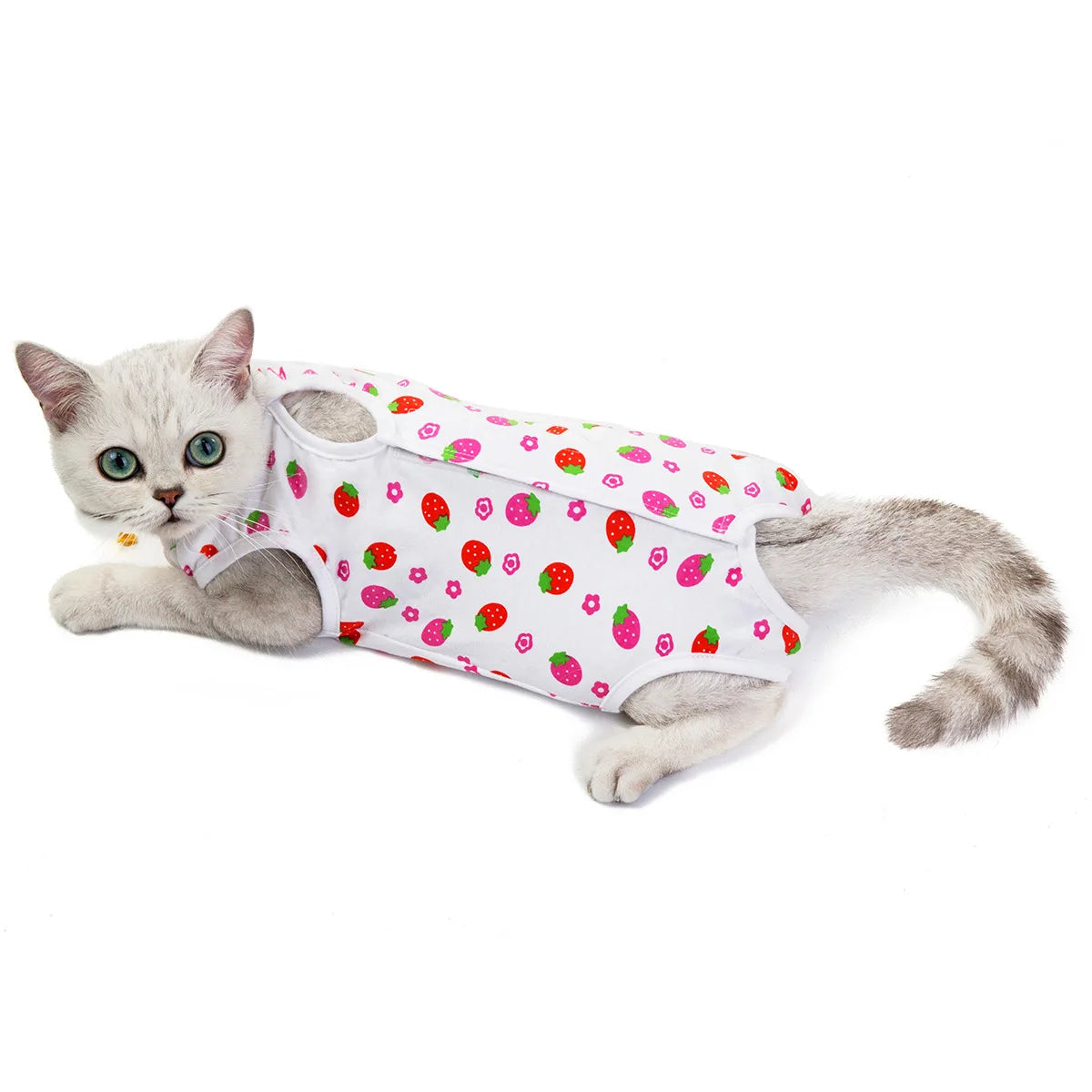 Cat Weaning Sterilization Suit Small Dog Cats Jumpsuit Anti-lick Recovery Clothing After Surgery Cute Print Pet Care Clothes
