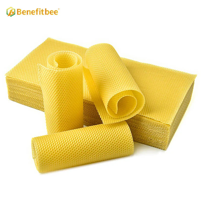 Beekeeping Langstroth Beehive 10 frames Plastic bee hive