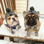 Winter Soft Dog Hat Warm Pet Dog Knitted Hat with Ear Holes Windproof Knitting French Bulldog Hat for Puppy Small Medium Dog Cap