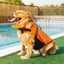 Dog Life Jacket Wings Design Pet Life Vest Dogs Flotation Lifesaver Preserver Swimsuit with Handle for Swim Pool Beach Boating