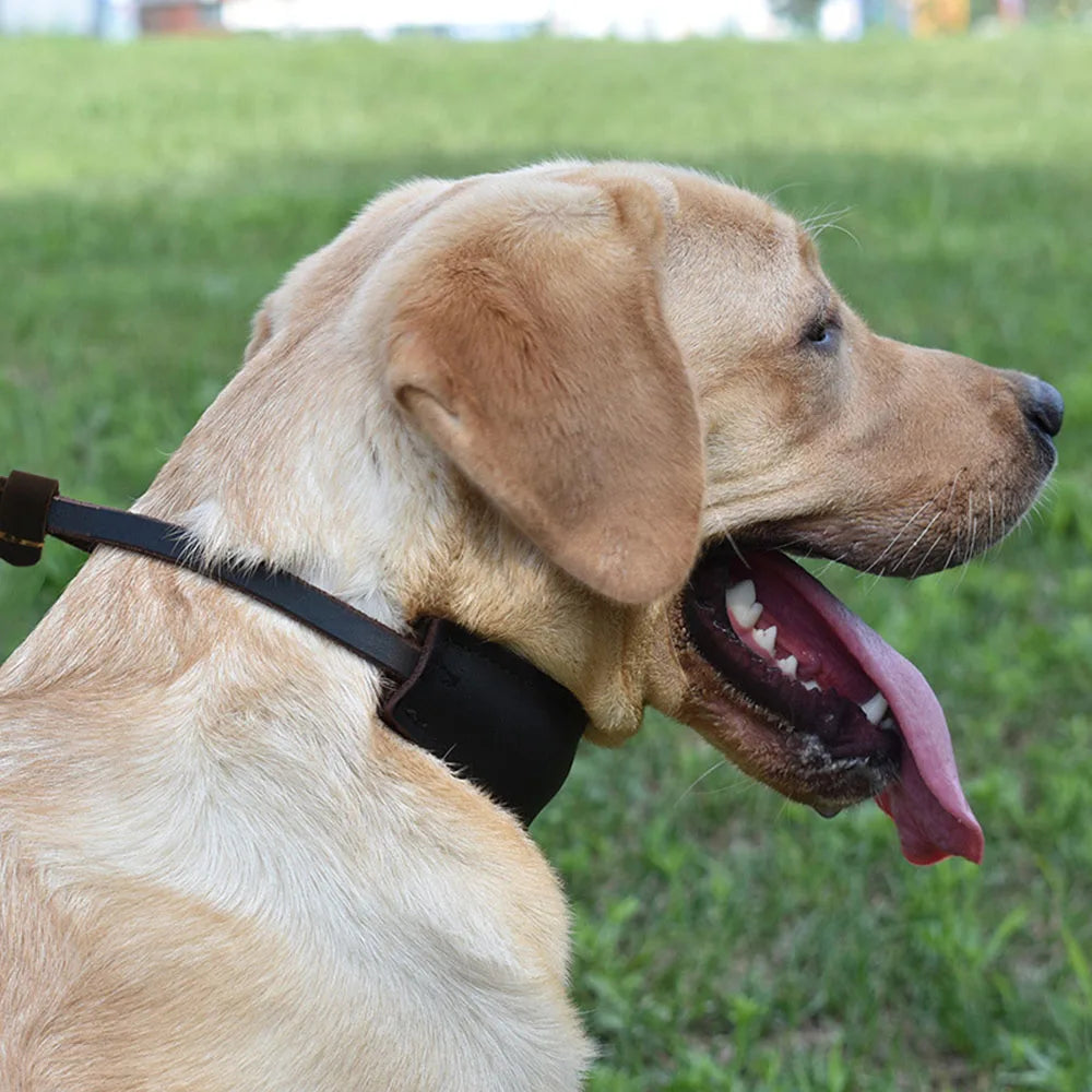 Real Leather Martingale Dog Collar Soft Wide Genuine Leather Dog Collar Adjustable for Medium Large Dogs Pet Training Supplies