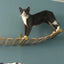 1PC Wall Mounted Cat Climbing Shelf Cat Sisal Wooden Ladder Bridge with Hammock and Jumping Platform for Kitten Playing and Rest
