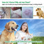 8 Month Protection Flea & Tick Collar Insect Prevention Silicone Cat Necklace Wear Resistant Anti-mosquito Pet Supplies Teddy