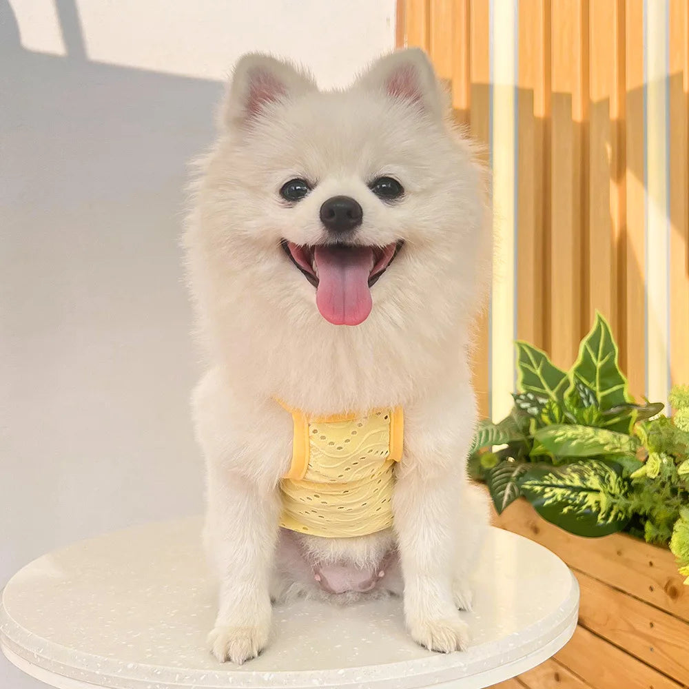 Spring and summer small dog clothing minimalist suspender thin breathable small and medium-sized dog pet cat clothing supplies