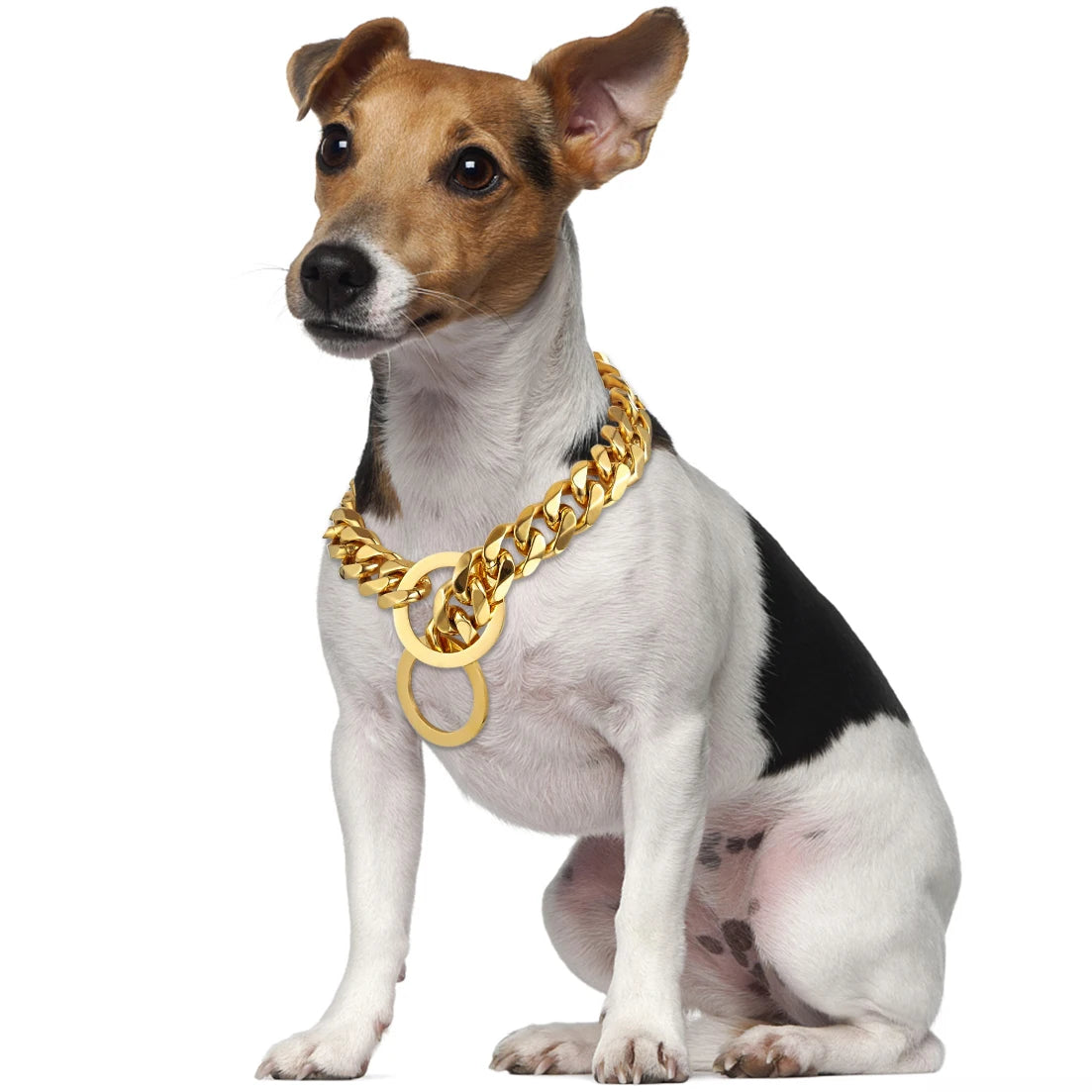 Gold Dog Chain Collar, Large Metal Dog, Medium Link Link, Small Steel, Cuban, Walking, Training