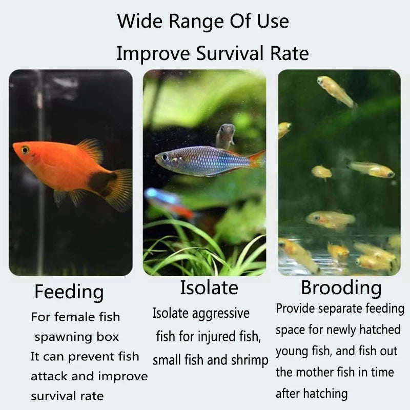 Plastic Aquarium Fish Breeding Isolation Box Fish Tank Aquarium Breeder Hatching Incubator Fish Tanks Isolator Accessories New