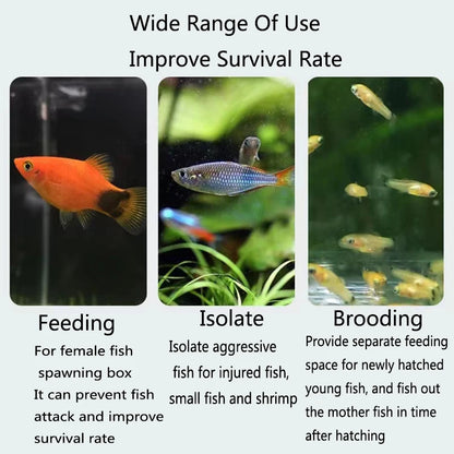 Plastic Aquarium Fish Breeding Isolation Box Fish Tank Aquarium Breeder Hatching Incubator Fish Tanks Isolator Accessories New