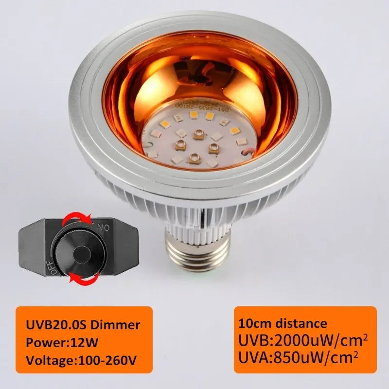 Reptile UV Lamp UVA+UVB 10.0S 20.0S Turtle Tortoise Lizard Basking Sunlight Bearded Dragon Terrarium Temperature Controller