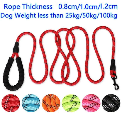 Reflective Leash