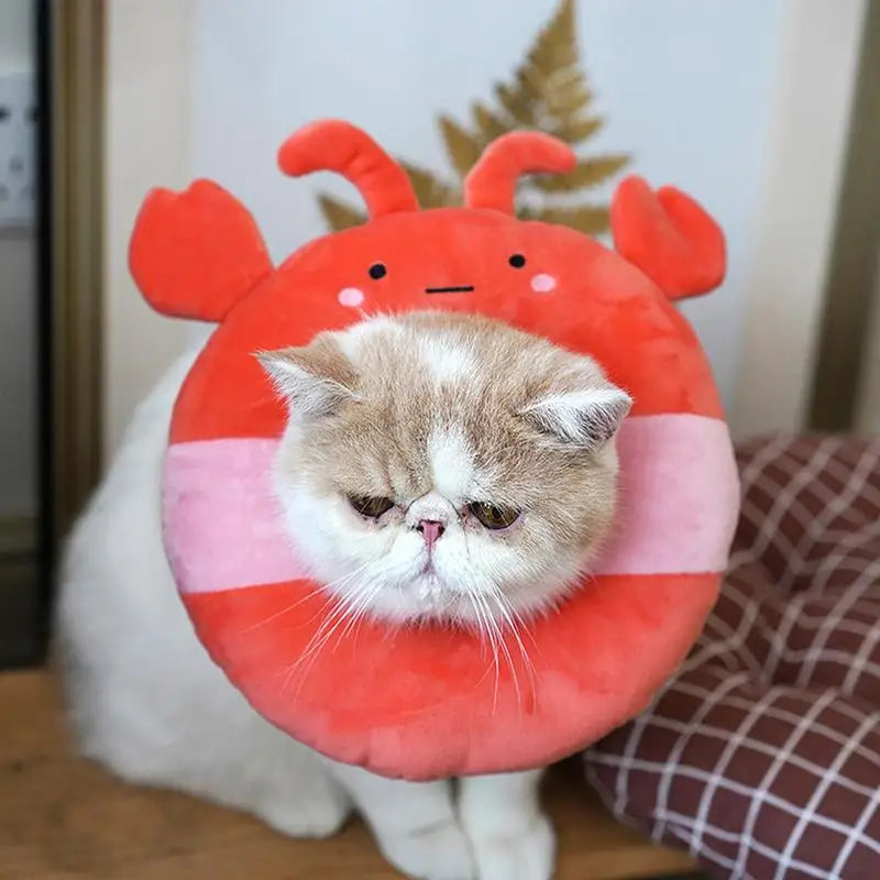 Cat Recovery Collar Stop Licking E Collar For Recovery Adjustable Cat E Collar Surgerys Recovery Elizabethan Collars For Kitten