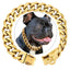 19MM Chew Proof Gold Dog Chain Collar Stainless Steel  Collars with Solid Buckle Pet Chains for Large Dogs