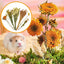 Flower And Plant Bedding Natural Hamster Bedding Hamster Deodorizing Bedding Small Animal Deodorant Product Landscaping Supplies