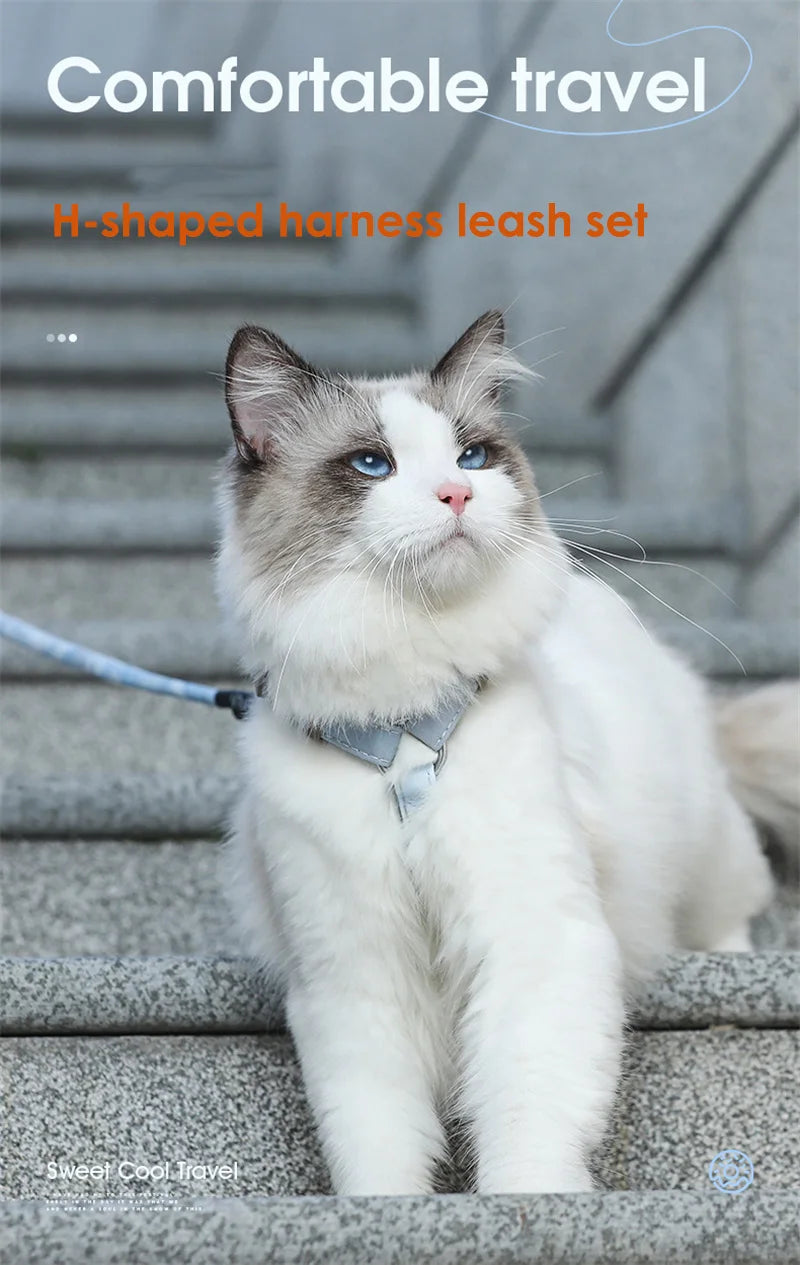 Cartoon Nylon Pet Dog Collar Accessories Anti Break Cat Small Puppy H-Shaped Harness Leash Set Travel Chihuahua Pet Accessories