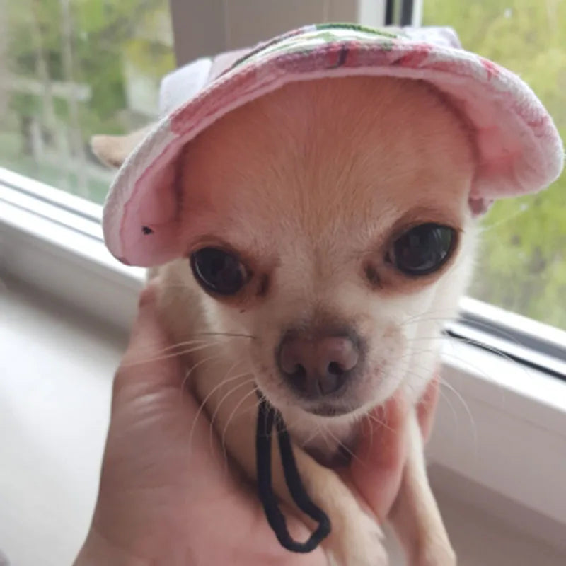 Pet Dog Hat Accessories Dogs Baseball Cap Sport Puppy Grooming Dress Up Hat Pet Dog Outdoor Hat Headwear Casual Cat Dog with Hat