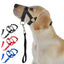 Nylon Dog Muzzle for Small Medium Large Dogs Adjustable Anti Barking Biting , Control Pet Leader Dog Head Collar Halter Leash