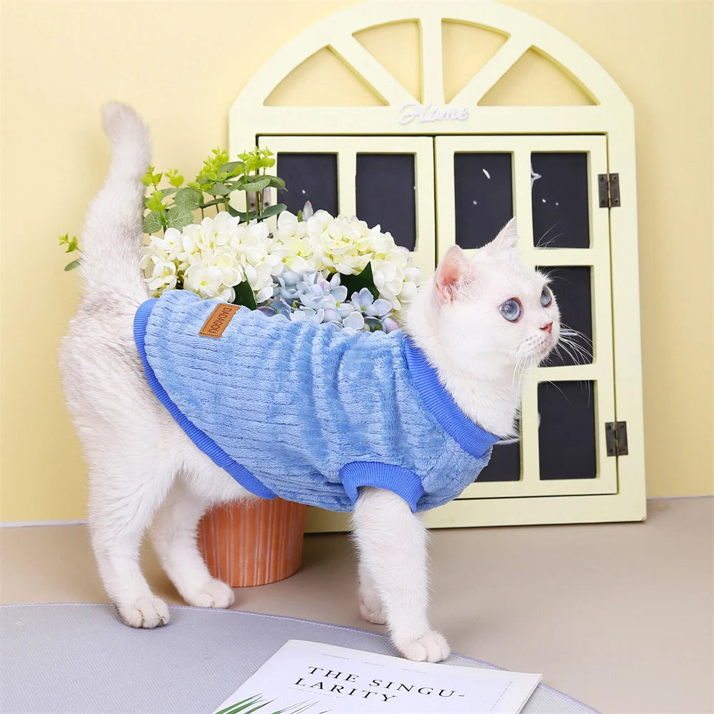 Autumn Winter Sphynx Cat Clothes Korean Pet Sweater for Cats Gotas Katten Kedi Pullovers Dog Hoodie mascotas Costume Clothing