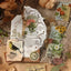 JIANQI 20 pcs PET Die cut Stickers book Plant Flower Label Decorative handmade Scrapbooking Material Diary Album Craft Supplies