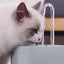 Ultra-Quiet Cat Water Fountain Filter Smart Automatic Pet Dog Water Dispenser&Burnout Prevention Pump1.5L Recirculate Filtrin