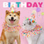 Pet Birthday Accessories Small Dog Cat Birthday Hat with Bandana Collar Pet Birthday Decorations for Kitten Pet Party Outfits