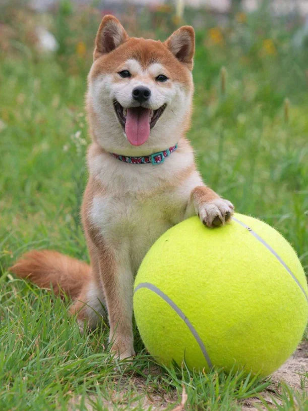 Giant Tennis Ball For Dog Chew Toy Pet Dog Interactive Toys Big Inflatable Tennis Ball Pet Supplies Outdoor Cricket Dog Toy