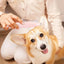 Cordless Dog Grooming Kit Cordless LED Light Rechargeable Multifunctional Pet Hair Clippers Pet Hair Clippers For Small Dogs
