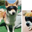 Cool Pet Sunglasses Eyewear for Dogs Animals mascotas Grooming Accessories Outdoor Cycling Puppy Dog Goggles Schnauzer Glasses