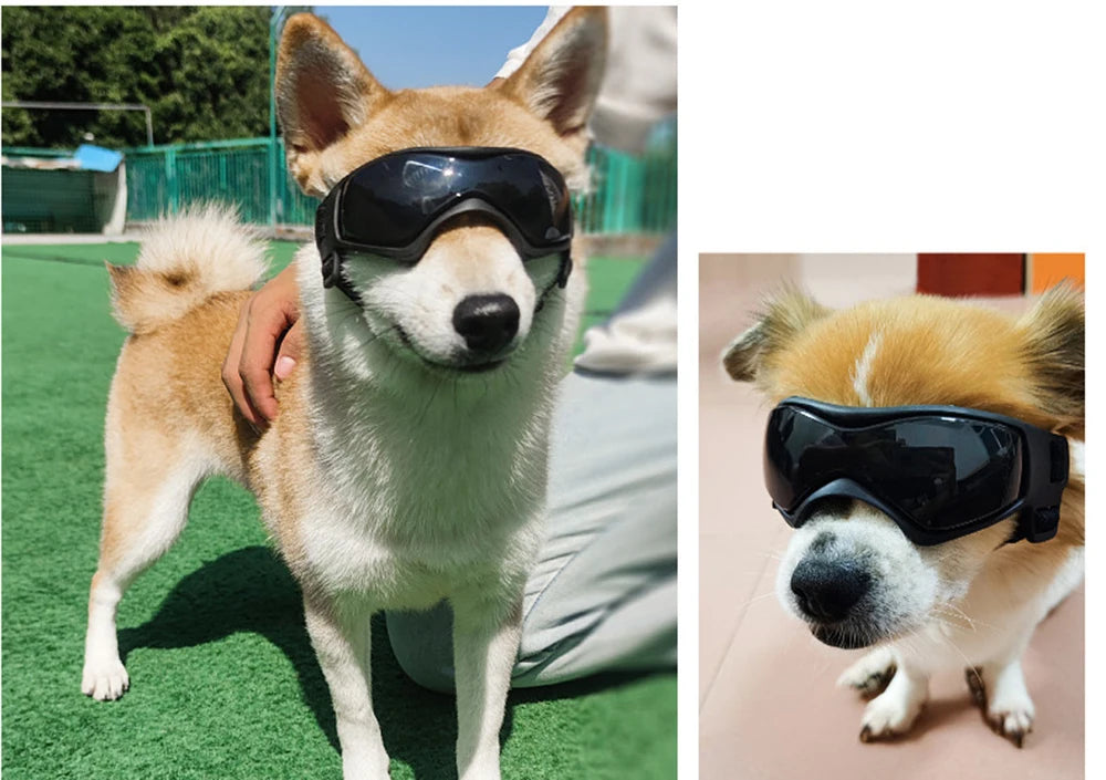 Cool Pet Sunglasses Eyewear for Dogs Animals mascotas Grooming Accessories Outdoor Cycling Puppy Dog Goggles Schnauzer Glasses