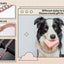 Dog Chain Collar Pink Diamond Cuban Link Necklace Metal Cat Chain Pet Crystal Collar Jewelry Accessories for  Dogs Cats