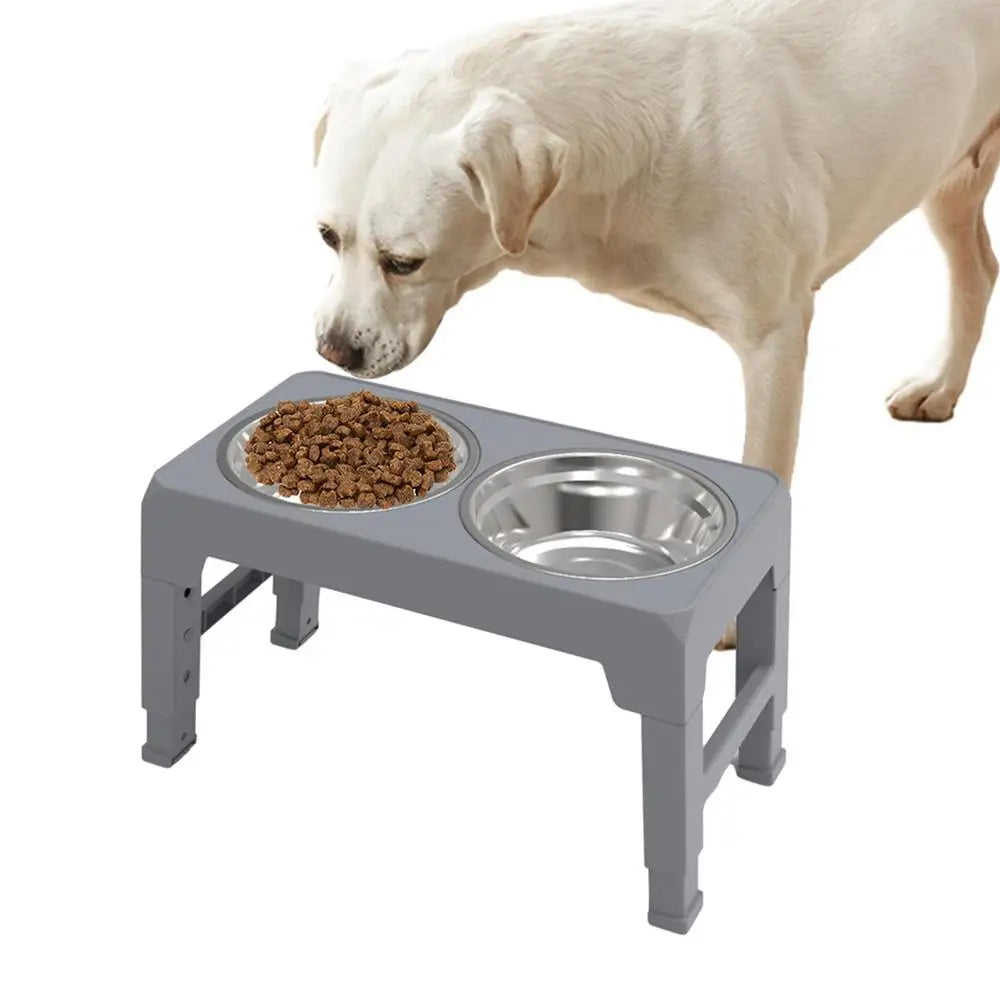 Elevated Stainless Steel Pet Feeding Bowls Height Adjustable Dog Bowl with Stand Cat Bowls Food Water Set with Two Bowls