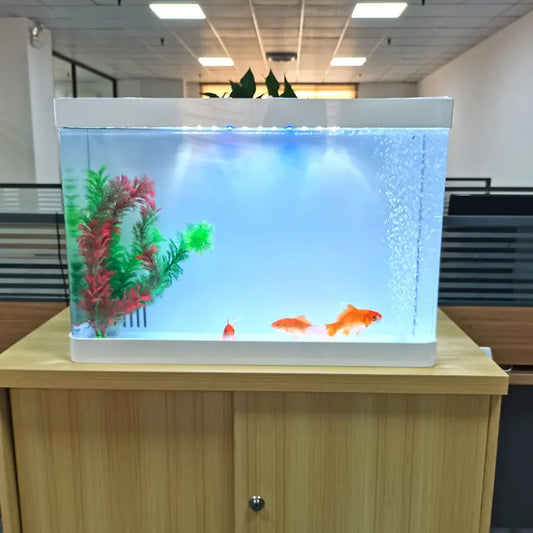 special design acrylic fish tank,new design fish tank aquarium