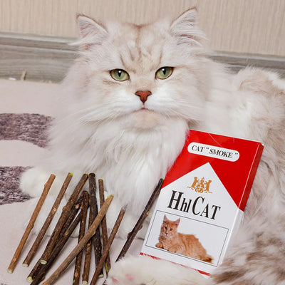Cat Toys Catnip Chew Toys Funny Cigarette Design Cat Molar Toothpaste Stick Natural Actinidia Silvervine Pet Cat Cleaning Teeth