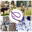 Dog Leashes For Medium Dogs 4.5 Feet Long Dog Leashes For Puppy Shock-Absorbing House For Puppy Training Reflective Bungee Dog