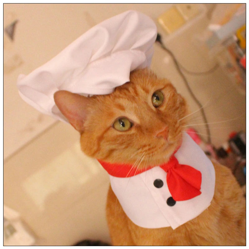 Halloween Chef Suit Pet Dog Clothes French Bulldog Cosplay New Year Pet Accessories Cute Gift Medium Costume Puppy Hat Collar