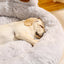 Fluffy Dog Bed Plush Kennel Accessories Pet Products Large Dogs Beds Bedding Sofa Basket Small Mat Cats Big Cushion Puppy Pets