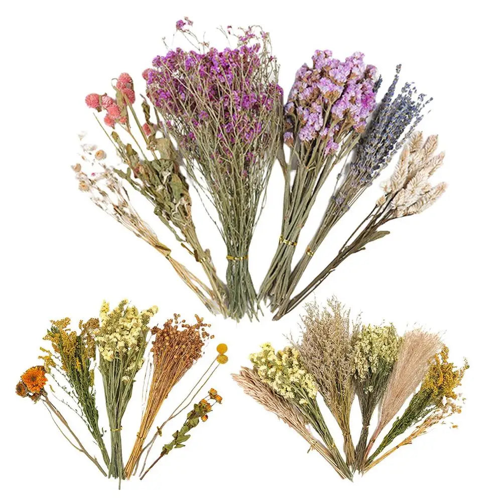 Flower And Plant Bedding Natural Hamster Bedding Hamster Deodorizing Bedding Small Animal Deodorant Product Landscaping Supplies