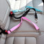 Adjustable Seatbelt Leash