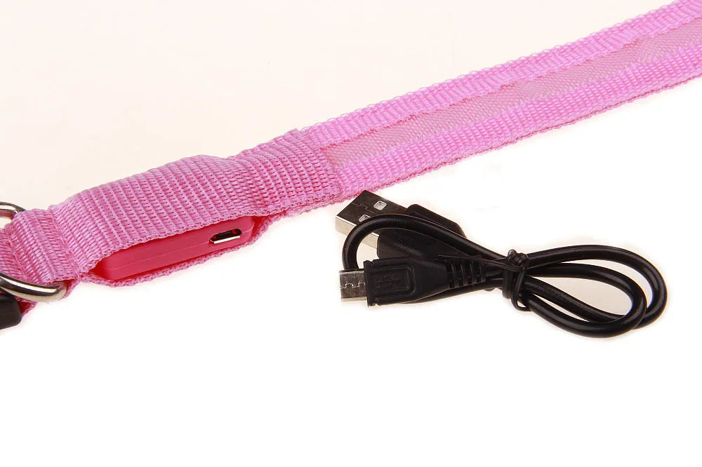 LED Dog Collar USB Rechargeable - Bright & High Visibility Lighted Glow Collar for Small Medium Large Breeds Pet Night Walking